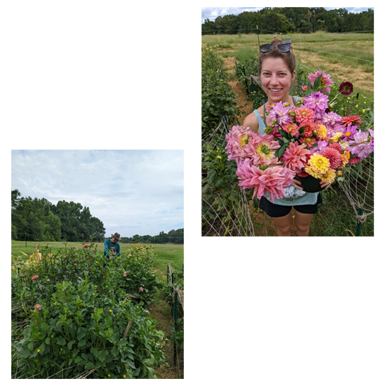 Tiffany and Ben in the field at Wild Pines Farm